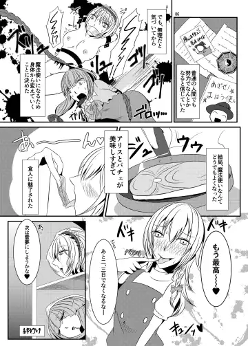 [Harasaki - Magifuro Konnyaku] R-18G na Gensoukyou no Gohan Goudoushi Fhentai - Page 86