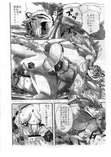 [Gamma - Mino] Choujuu Gasshin Build Tiger 01 Fhentai - Page 16