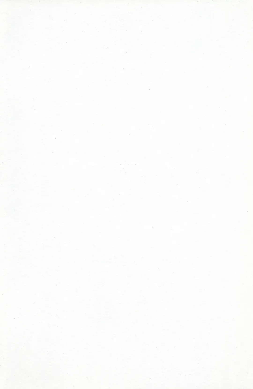 [Okina] ANALRINA Fhentai - Page 27