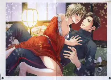 [Takatsuki Noboru] Hanamachi Monogatari Settei Gashuu Fhentai - Page 9