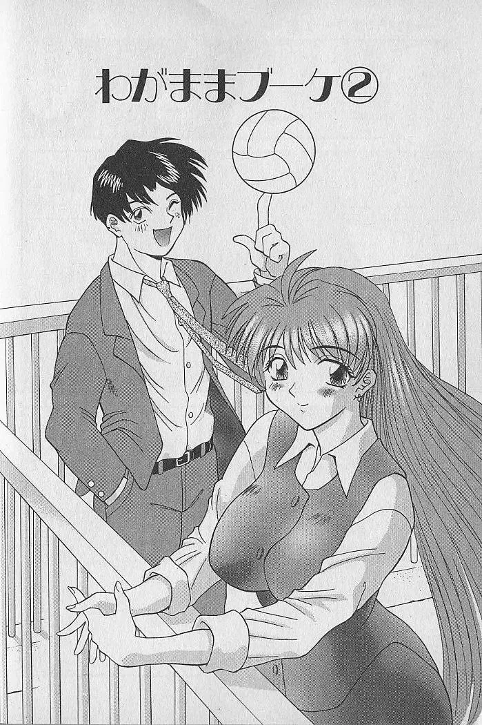 [Kawamori Misaki] Wagamama Bouquet Fhentai - Page 26