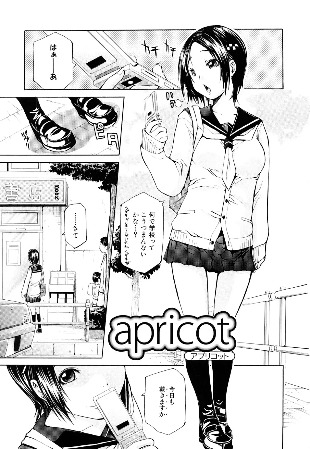 [Junkie] Inka Hakudaku - Samen Flowers Fhentai - Page 96