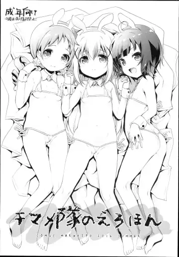 Read [Akazawa Red] Chimametai no Erohon - Fhentai.net