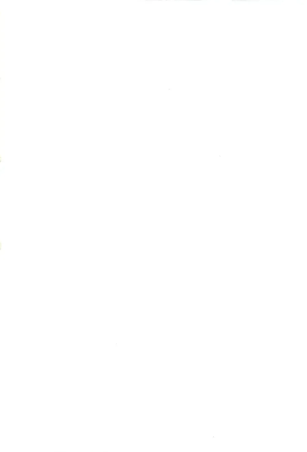 [Ripton] Ochinchin Daishingeki - Remilia no Gyakushuu Fhentai - Page 2