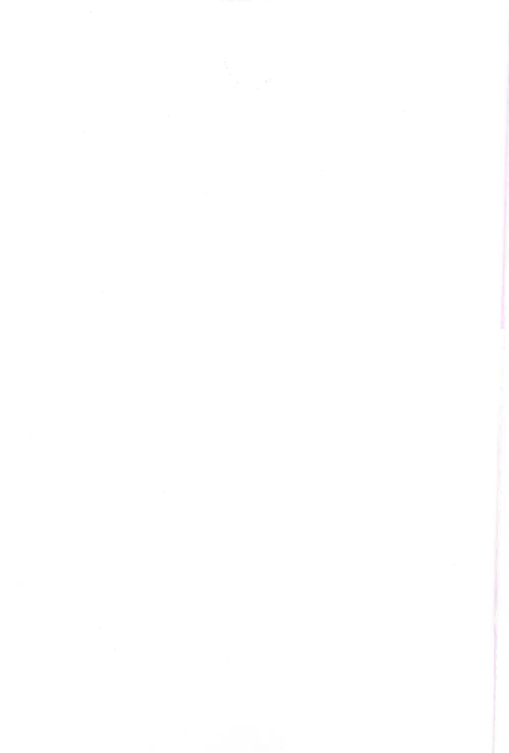 [Ripton] Ochinchin Daishingeki - Remilia no Gyakushuu Fhentai - Page 4