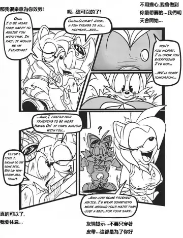 [Greenhill] Below The Belt (Sonic The Hedgehog) - Chinese Fhentai.net - Page 4