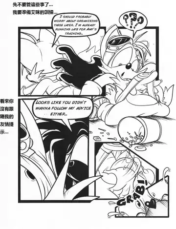 [Greenhill] Below The Belt (Sonic The Hedgehog) - Chinese Fhentai.net - Page 6