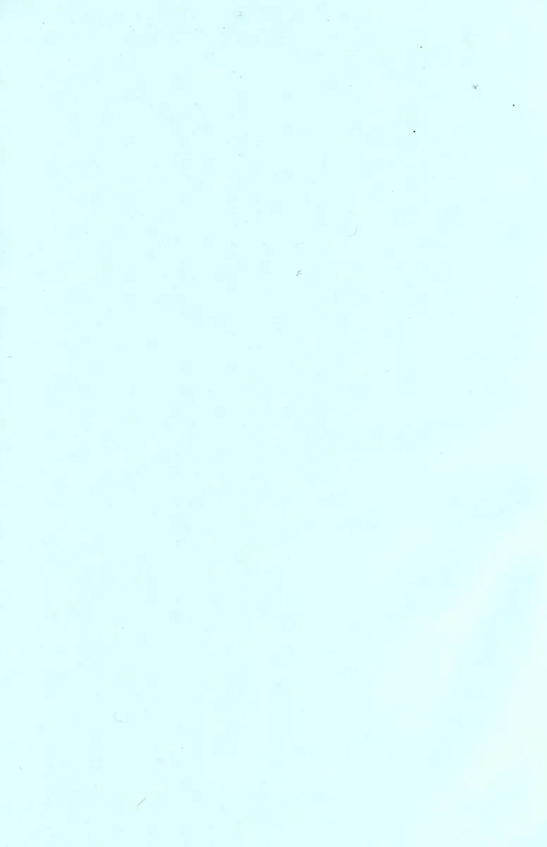 Flamingo R Vol.04 Fhentai - Page 6