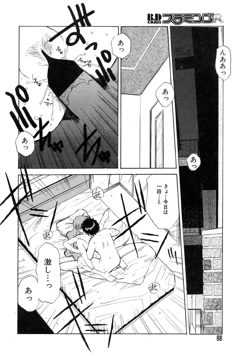 Flamingo R Vol.04 Fhentai - Page 70