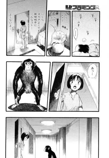 Flamingo R Vol.04 Fhentai - Page 114