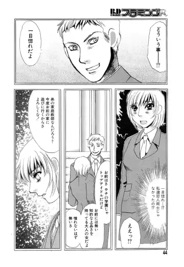 Flamingo R Vol.04 Fhentai - Page 48