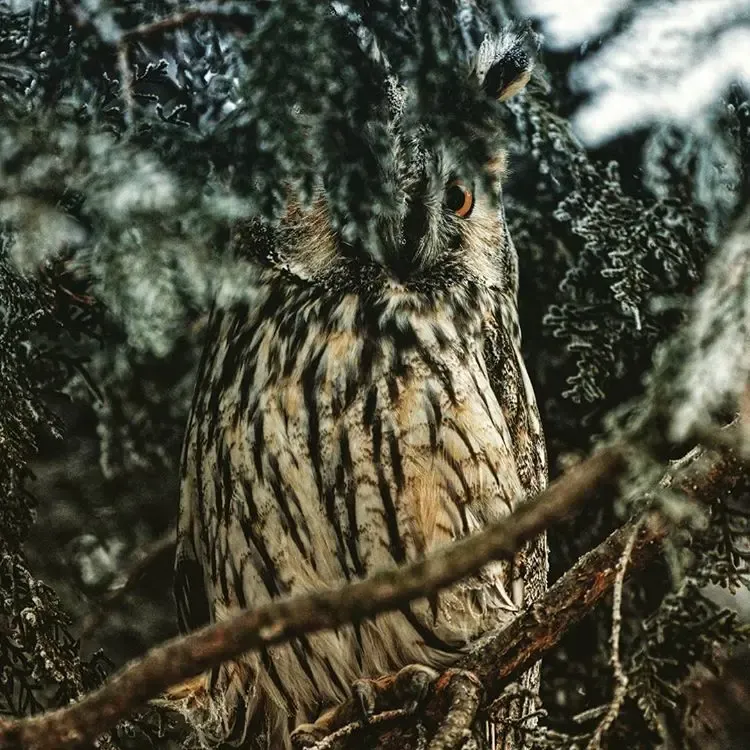 [Tarazoo] Summer Girl Fhentai - Page 24