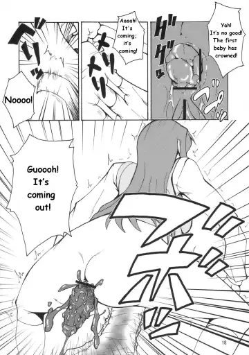 [Canadazin] Kyouran Yorokochi Fhentai - Page 17