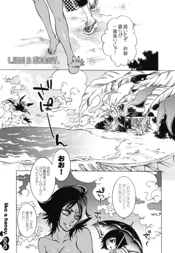 [Hattori Mitsuka] Like a Honey Fhentai - Page 4