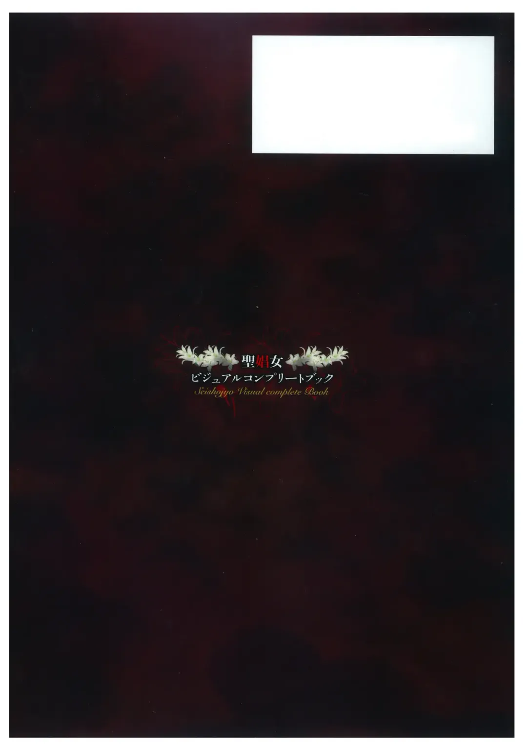 [Kinmedai Pink - Koizumi Amane] Seishojyo Visual Complete Book Fhentai - Page 148