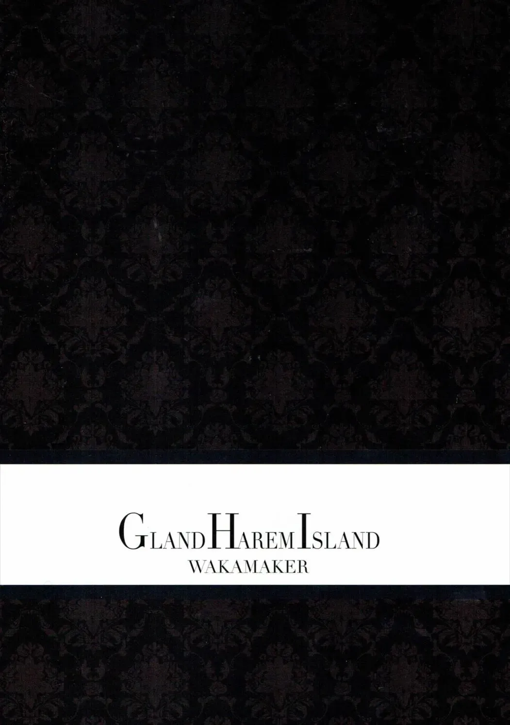 [Wakamesan] GRAN HAREM ISRAND Fhentai - Page 20