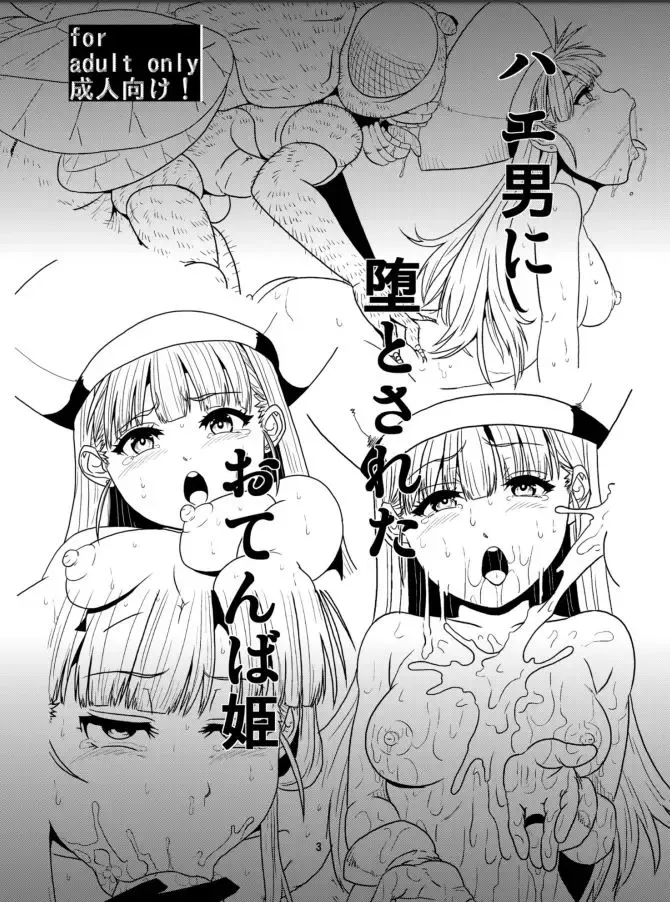 [Risei] Otenba Hime → Juujun Hae Yome Hime Fhentai - Page 2