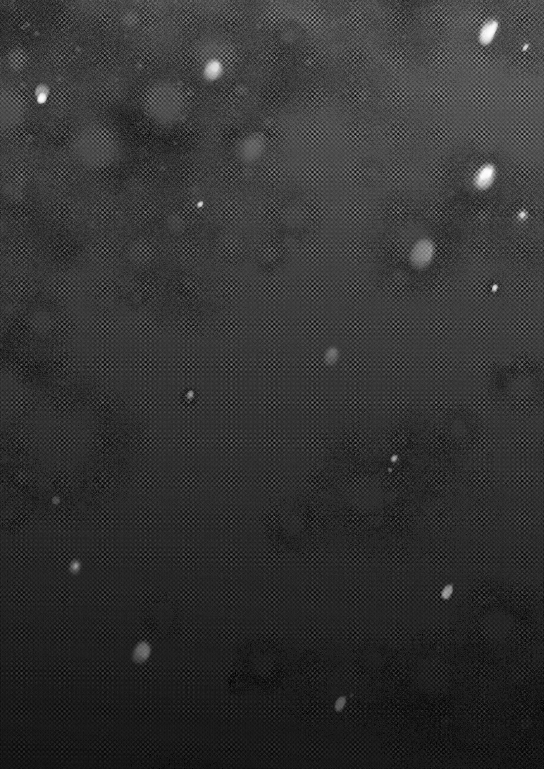 [Omecho] Nureyuki Fhentai - Page 38