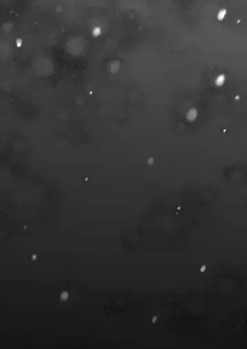 [Omecho] Nureyuki Fhentai - Page 38