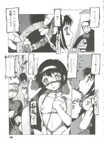 [Nishi Iori] Omocha Hime Fhentai - Page 191