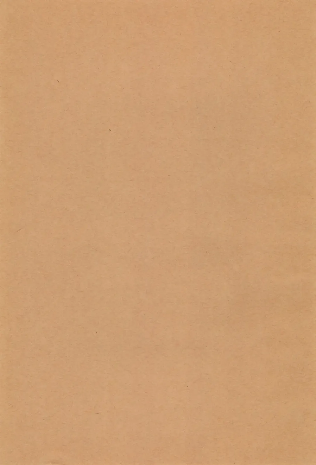 [Yoyoyoyou] Hentai Ichidou Ground e Shuugou!! Fhentai - Page 3