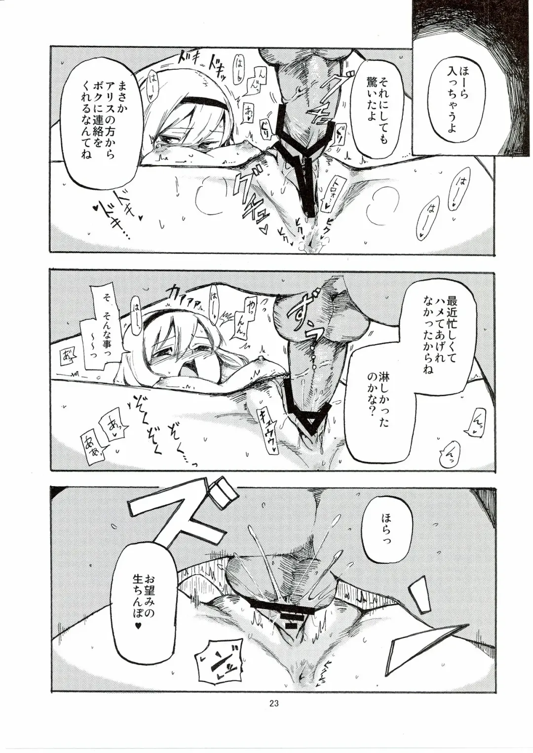 [Miya9] Netorare Alice Fhentai - Page 25