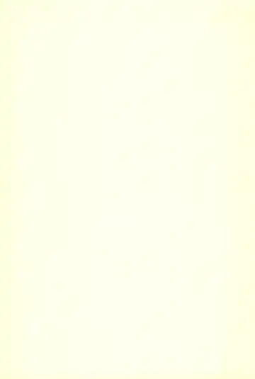 [Yoyoyoyou] Chikubi ni Soudan Fhentai - Page 11