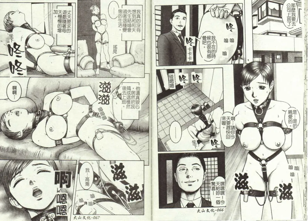 [Cobolt] Doreizuma - The Slave Wife Fhentai - Page 36