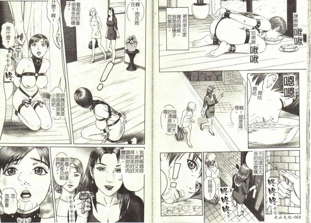 [Cobolt] Doreizuma - The Slave Wife Fhentai - Page 37