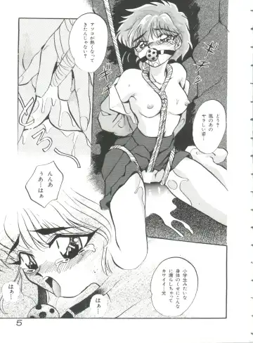 Shining Legend Fhentai - Page 6