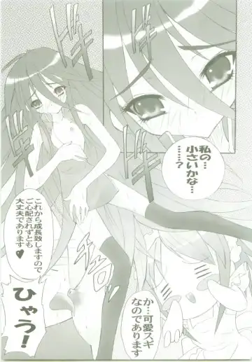 [Kaidou Akira - Rakurincho] AR8 Shakugan no Shana 4 Tsuujouhan Fhentai - Page 16