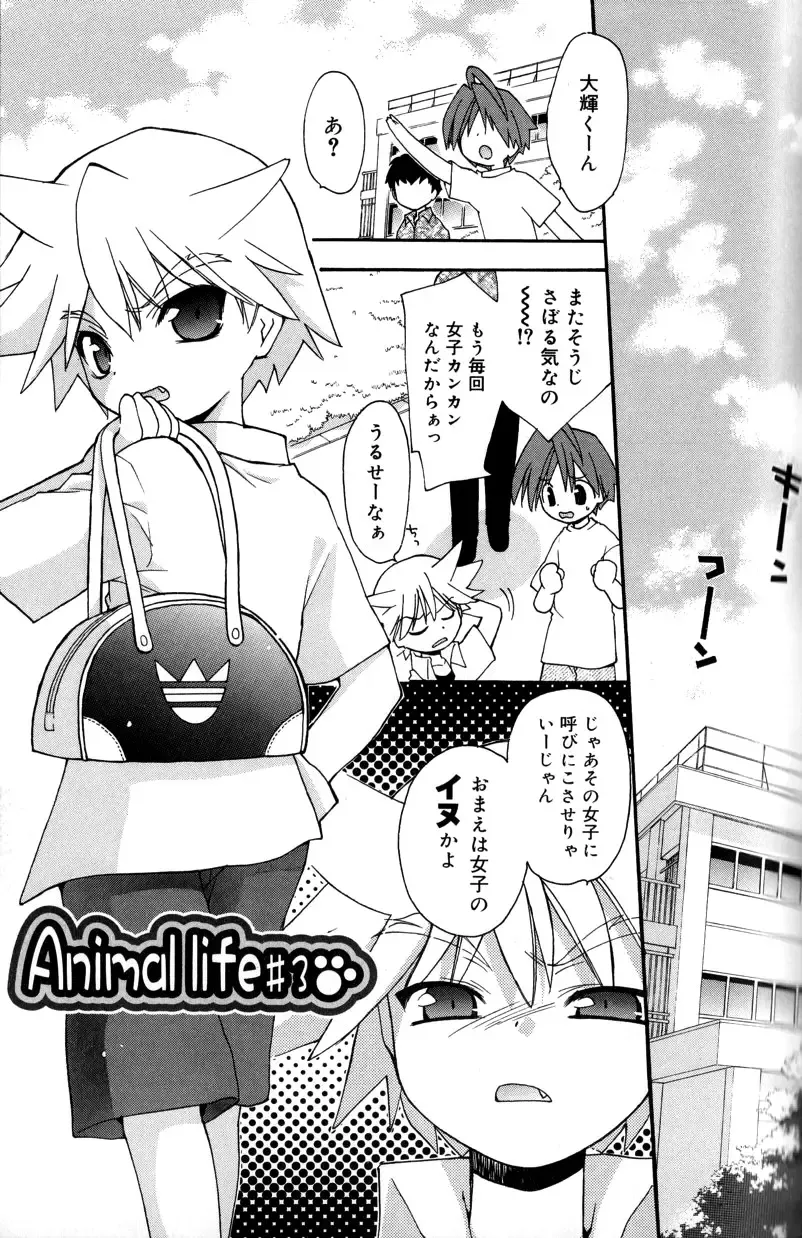 [Konata Hyuura] Boku no Animal Life - My Animal Life Fhentai.net - Page 31