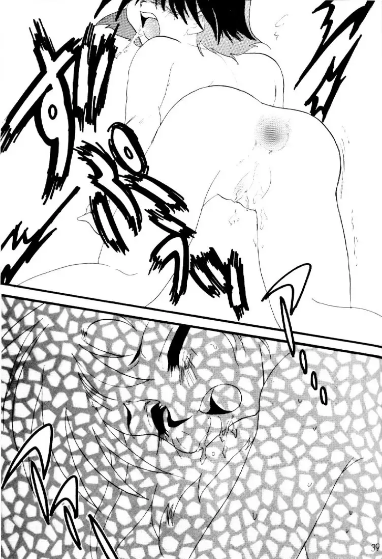 [Mita Satomi] Slayers Adult 10 Fhentai - Page 38