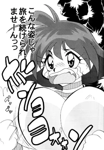 [Mita Satomi] Slayers Adult 10 Fhentai.net - Page 4