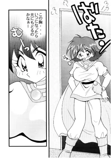 [Mita Satomi] Slayers Adult 10 Fhentai.net - Page 9