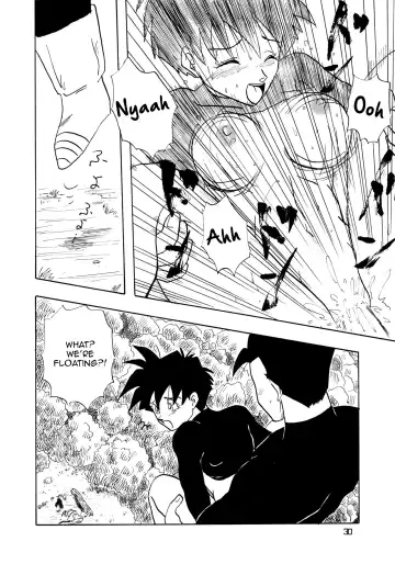 [Shouji Haruko - Shouji Haruzo] YYY Fhentai - Page 30