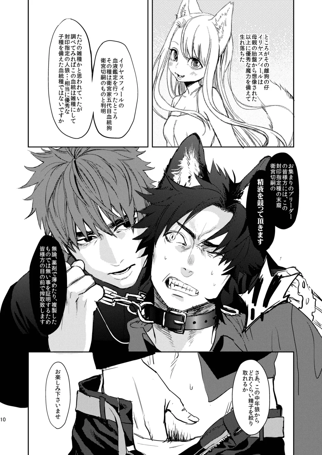 [Mitsuru] Fate/Wolf Fhentai - Page 11
