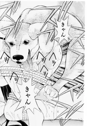 COMIC Shoujo Tengoku 2002-11 Fhentai - Page 150