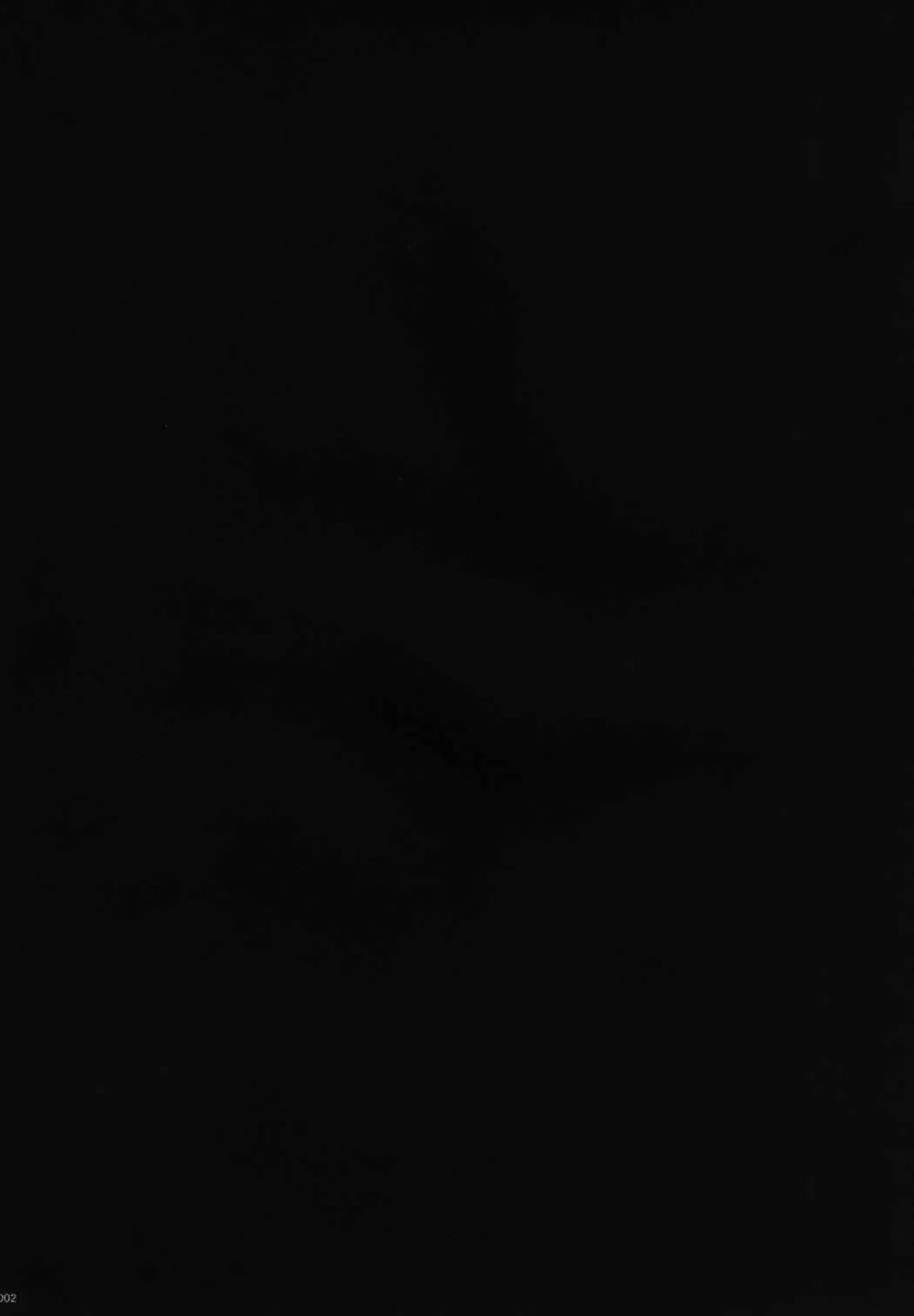 [Sayryu] Ore no Onaho wa Niji Manko ni Tsuuzuru Fhentai - Page 3