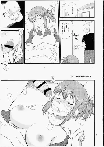 [Hinemosu Notari] Yume No Maid-san To Yume No Situation De Hame Makuru Hon Fhentai - Page 2
