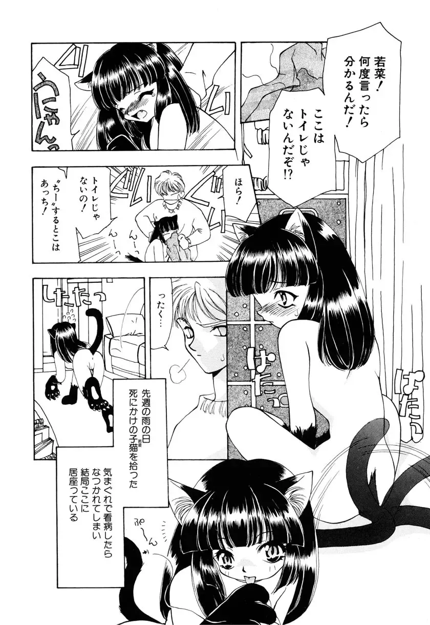 Little Pierce Vol. 9 Fhentai - Page 8