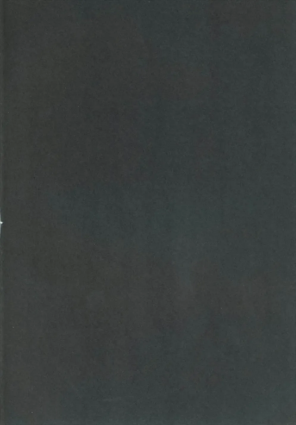 [Kazuki Hiyori] Cleric Djeeta-chan no Gohoushi Seikatsu Fhentai - Page 4