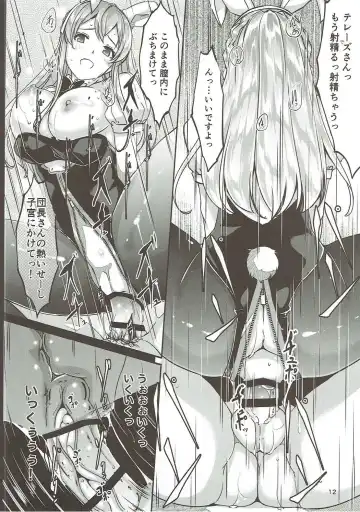 [Gustav] Ecchi na Usagi wa Suki desu ka? Fhentai - Page 13