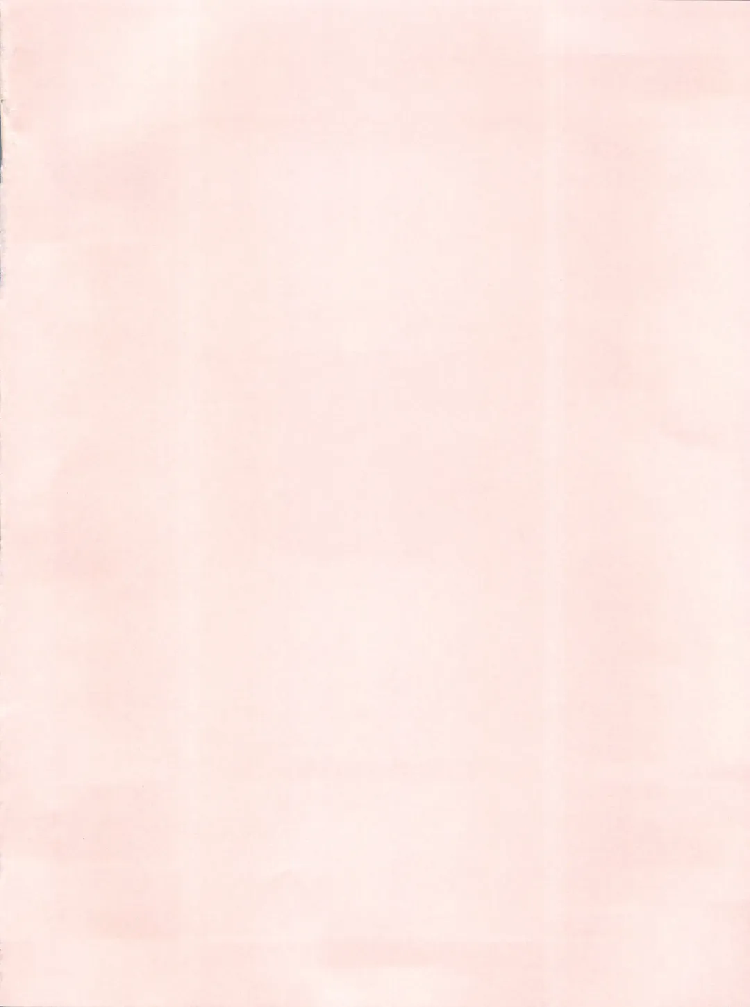 PINK MACADAMIAN Vol. 2 Fhentai - Page 4