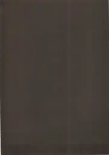 [Akaneman] Shinshoku Seijo ChaosTide Fhentai - Page 3