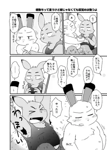 [Noruriri] Kazehiki Usagi to Oshikake Usagi Fhentai - Page 17