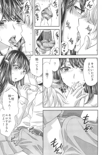 [Harusawa] Wagamama na Ane no Fujitsu na Kajitsu Fhentai - Page 12