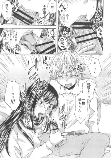 [Harusawa] Wagamama na Ane no Fujitsu na Kajitsu Fhentai - Page 14