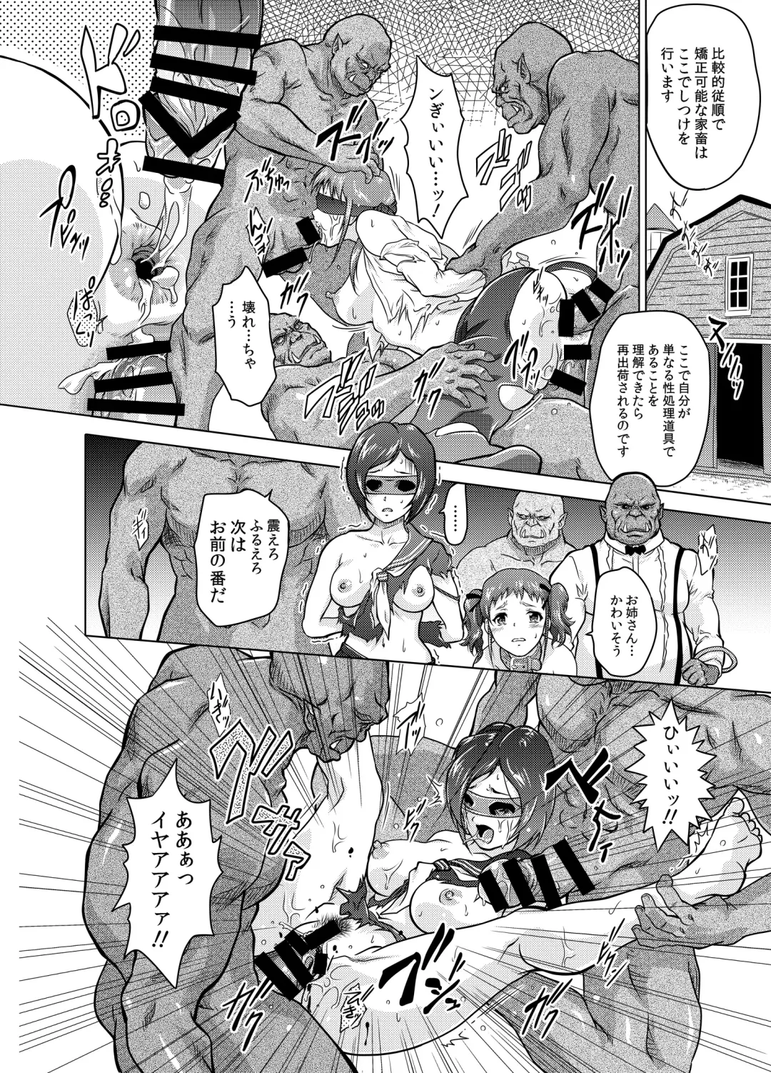 [Nolia] Dominate Orc ~Kachiku Ika to Sareta Mijime na Ningenzoku~ Fhentai - Page 18