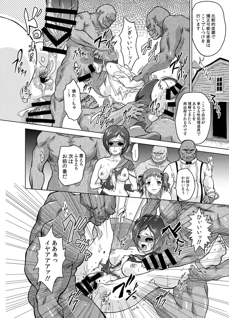 [Nolia] Dominate Orc ~Kachiku Ika to Sareta Mijime na Ningenzoku~ Fhentai - Page 44